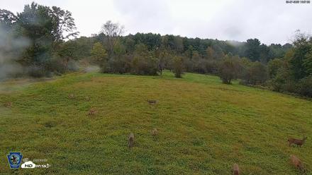Pennsylvania Elk Live Webcam - Sep 27, 2026, 4:58pm EDT