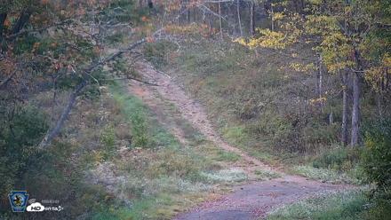 Pennsylvania Elk Live Webcam - Oct 1, 2026, 6:27pm EDT