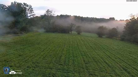 Pennsylvania Elk Live Webcam - Sep 4, 2026, 6:56am EDT