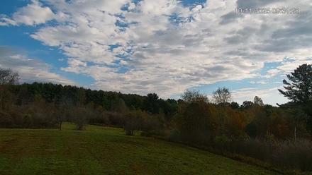 Pennsylvania Elk Live Webcam - Oct 11, 2025, 9:32am EDT