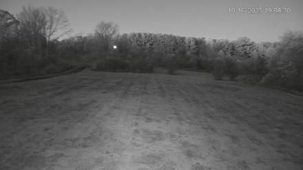 Pennsylvania Elk Live Webcam - Oct 16, 2025, 7:09pm EDT