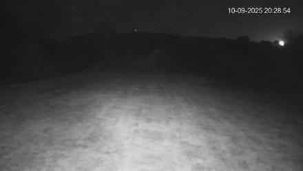 Pennsylvania Elk Live Webcam - Oct 9, 2025, 8:29pm EDT