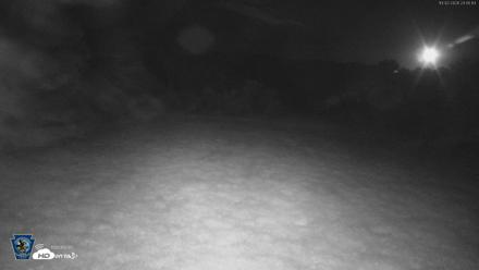Pennsylvania Elk Live Webcam - Oct 2, 2026, 11:46pm EDT