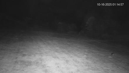 Pennsylvania Elk Live Webcam - Oct 16, 2025, 1:15am EDT