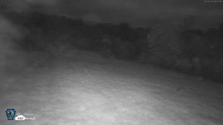 Pennsylvania Elk Live Webcam - Sep 29, 2026, 1:08am EDT