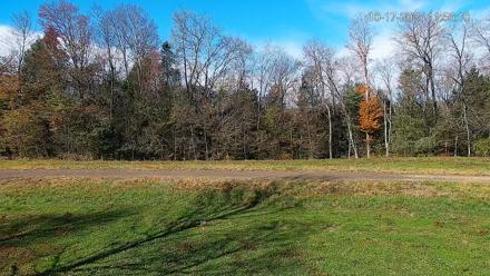 Pennsylvania Elk Live Webcam - Oct 17, 2025, 11:57am EDT