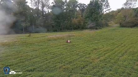 Pennsylvania Elk Live Webcam - Sep 8, 2026, 7:41pm EDT