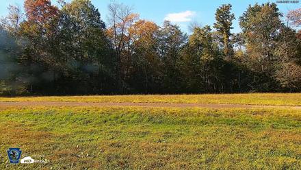 Pennsylvania Elk Live Webcam - Oct 3, 2026, 2:55pm EDT