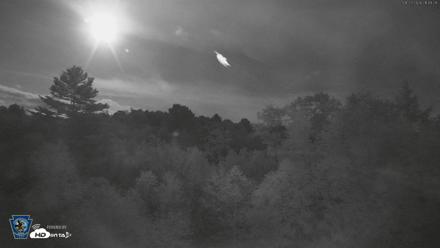 Pennsylvania Elk Live Webcam - Aug 27, 2026, 9:49pm EDT