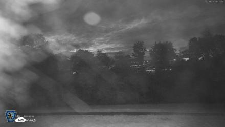 Pennsylvania Elk Live Webcam - Oct 1, 2026, 7:35pm EDT