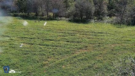 Pennsylvania Elk Live Webcam - Sep 8, 2026, 11:46am EDT