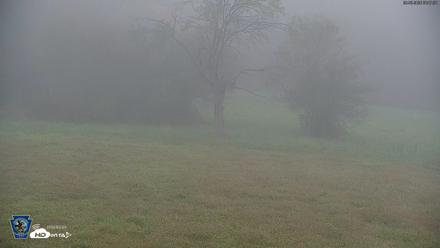 Pennsylvania Elk Live Webcam - Sep 30, 2026, 8:51am EDT
