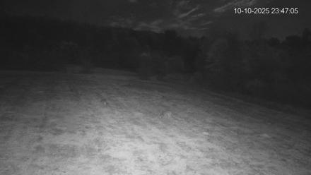 Pennsylvania Elk Live Webcam - Oct 10, 2025, 11:47pm EDT