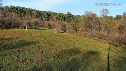 Pennsylvania Elk Live Webcam - Oct 2, 2025, 5:35pm EDT