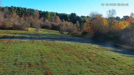 Pennsylvania Elk Live Webcam - Oct 16, 2025, 8:54am EDT