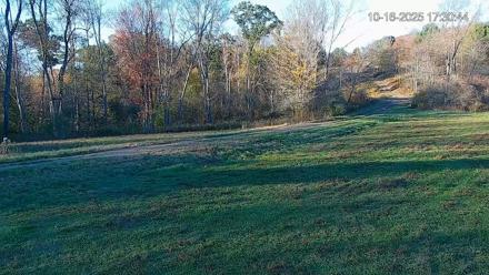 Pennsylvania Elk Live Webcam - Oct 16, 2025, 5:31pm EDT