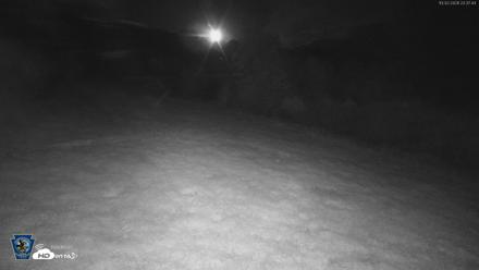 Pennsylvania Elk Live Webcam - Oct 2, 2026, 11:39pm EDT