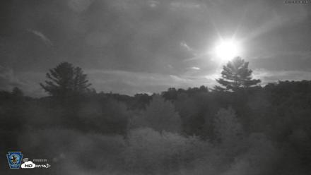 Pennsylvania Elk Live Webcam - Aug 27, 2026, 9:20pm EDT