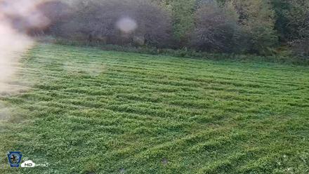 Pennsylvania Elk Live Webcam - Sep 4, 2026, 7:07am EDT