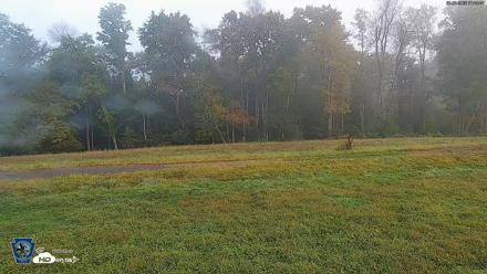 Pennsylvania Elk Live Webcam - Sep 30, 2026, 7:50am EDT
