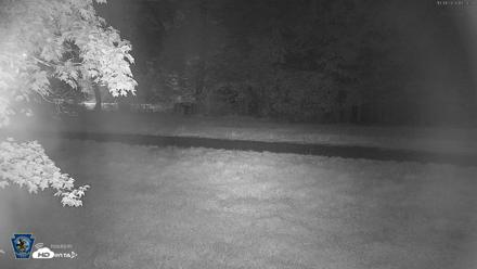 Pennsylvania Elk Live Webcam - Oct 1, 2026, 7:25pm EDT