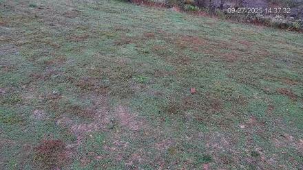 Pennsylvania Elk Live Webcam - Sep 27, 2025, 2:38pm EDT