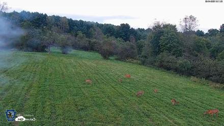 Pennsylvania Elk Live Webcam - Sep 4, 2026, 7:12pm EDT