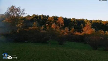 Pennsylvania Elk Live Webcam - Sep 5, 2026, 7:09pm EDT