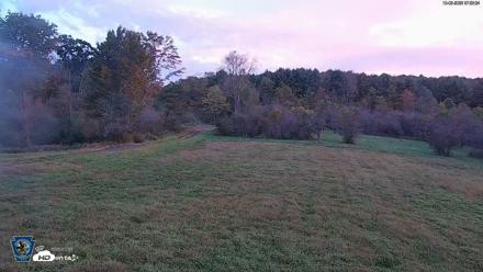 Pennsylvania Elk Live Webcam - Oct 2, 2026, 7:04am EDT