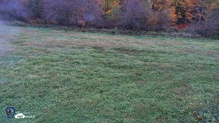 Pennsylvania Elk Live Webcam - Oct 1, 2026, 9:44am EDT