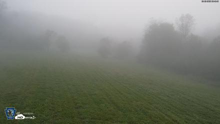 Pennsylvania Elk Live Webcam - Sep 8, 2026, 6:49am EDT