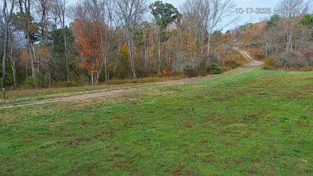 Pennsylvania Elk Live Webcam - Oct 17, 2025, 2:15pm EDT