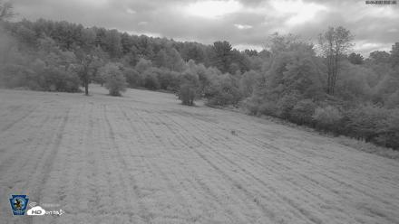 Pennsylvania Elk Live Webcam - Sep 4, 2026, 6:23am EDT