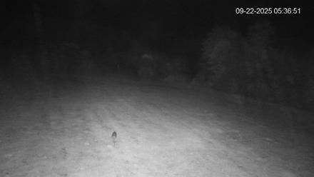 Pennsylvania Elk Live Webcam - Sep 22, 2025, 5:37am EDT