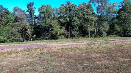 Pennsylvania Elk Live Webcam - Aug 31, 2025, 9:38am EDT