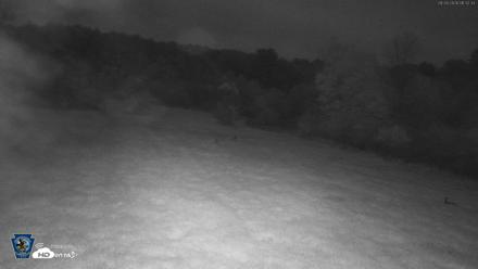 Pennsylvania Elk Live Webcam - Sep 28, 2026, 1:33am EDT