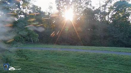 Pennsylvania Elk Live Webcam - Sep 5, 2026, 6:53pm EDT