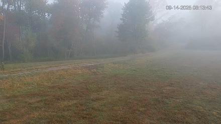 Pennsylvania Elk Live Webcam - Sep 14, 2025, 8:14am EDT