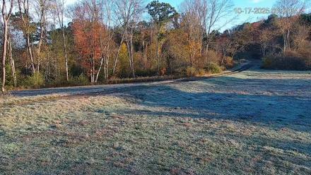 Pennsylvania Elk Live Webcam - Oct 17, 2025, 8:14am EDT