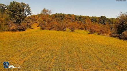 Pennsylvania Elk Live Webcam - Sep 7, 2026, 2:00pm EDT
