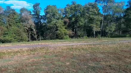 Pennsylvania Elk Live Webcam - Sep 1, 2025, 8:35am EDT