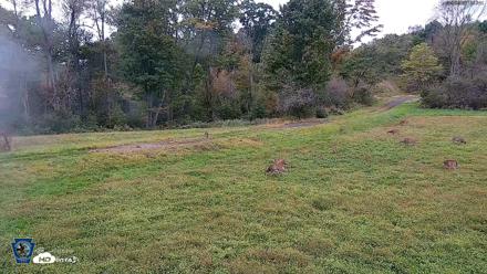 Pennsylvania Elk Live Webcam - Sep 28, 2026, 6:18pm EDT