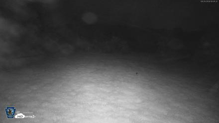 Pennsylvania Elk Live Webcam - Sep 29, 2026, 7:42pm EDT