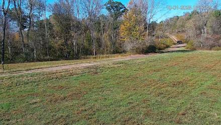 Pennsylvania Elk Live Webcam - Oct 1, 2025, 4:07pm EDT