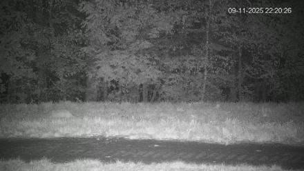 Pennsylvania Elk Live Webcam - Sep 11, 2025, 10:21pm EDT