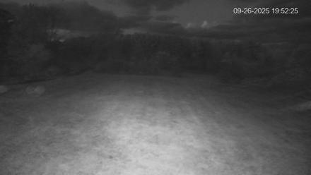 Pennsylvania Elk Live Webcam - Sep 26, 2025, 7:53pm EDT