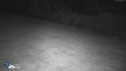 Pennsylvania Elk Live Webcam - Aug 27, 2026, 1:17am EDT