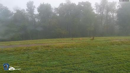 Pennsylvania Elk Live Webcam - Sep 7, 2026, 8:09am EDT