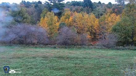 Pennsylvania Elk Live Webcam - Oct 2, 2026, 5:00pm EDT