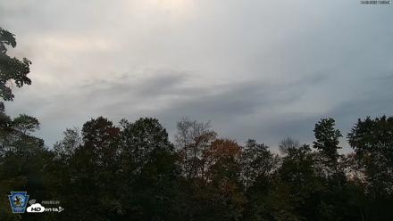Pennsylvania Elk Live Webcam - Oct 2, 2026, 6:39pm EDT